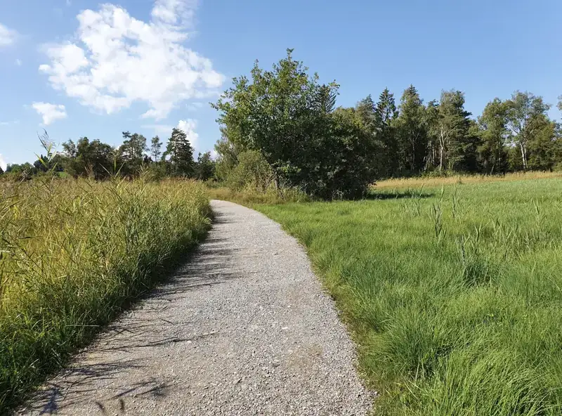 Gravel cyclist on a forest track just outside Zürich city